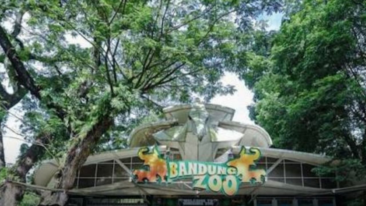 Nasib Bandung Zoo Masih Belum Pasti, Berikut Tiga Opsi yang Ditawarkan Pemkot Bandung