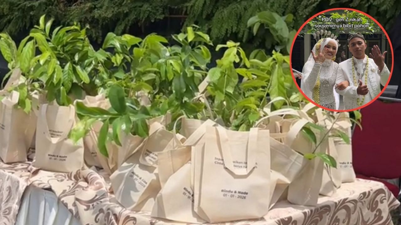 Unik dan Bermakna, Gen Z Ini Pilih Bibit Pohon Jadi Souvenir Saat Hari Pernikahan