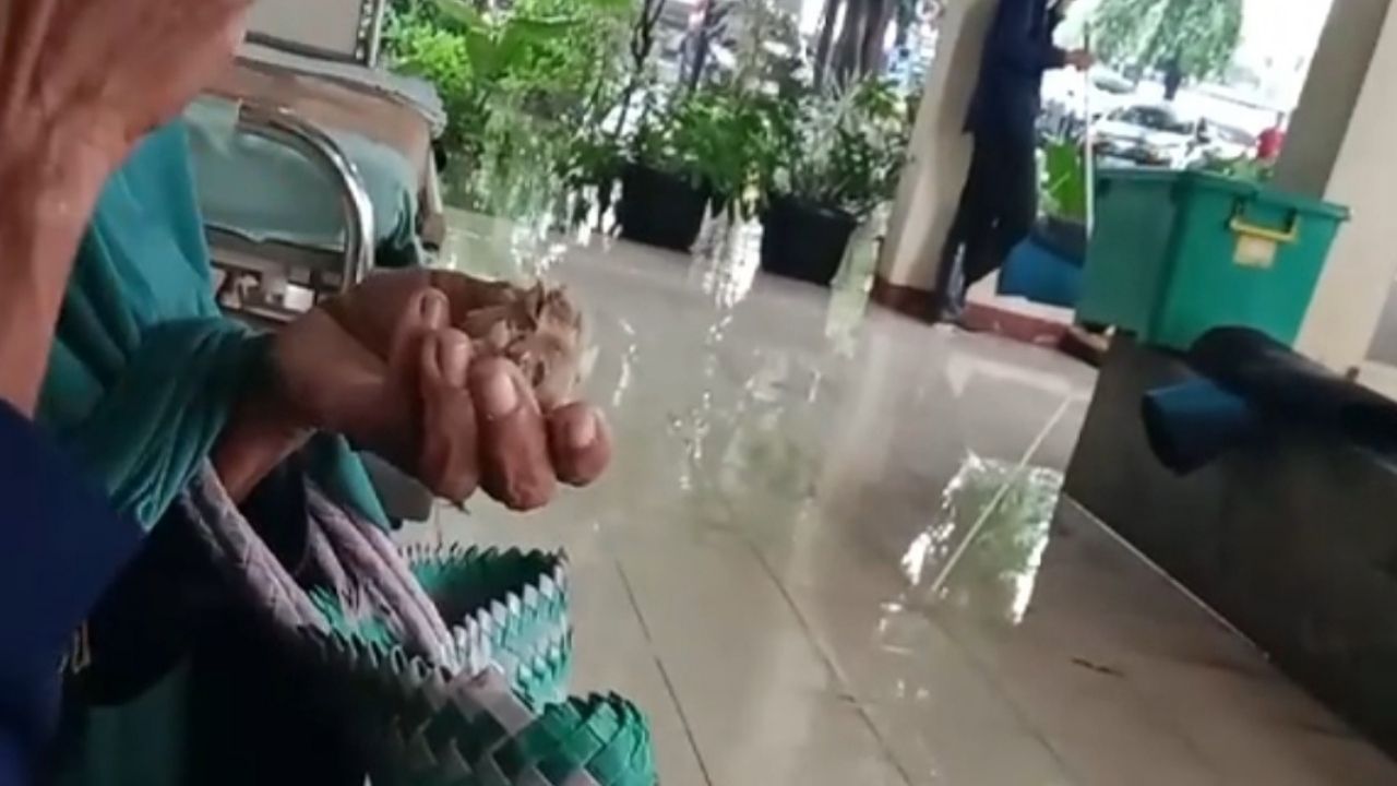 Cuma Makan Kepala Ayam untuk Ganjal Perut, Cewek Ini Bertemu dengan Ibu-Ibu Sedang Antar Anak ke Rumah Sakit Cuma Makan Kepala Ayam untuk Ganjal Perut, Cewek Ini Bertemu dengan Ibu-Ibu Sedang Antar Anak ke Rumah Sakit
