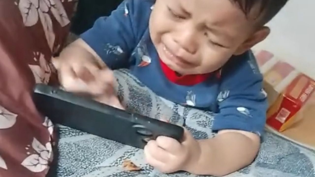 Rindu Mamanya yang Meninggal Dunia karena Kecelakaan Saat Hamil Tiga Bulan, Anak Kecil Ini Menangis Sejadi-jadinya Rindu Mamanya yang Meninggal Dunia karena Kecelakaan Saat Hamil Tiga Bulan, Anak Kecil Ini Menangis Sejadi-jadinya