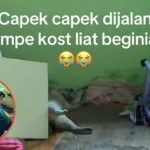 Ditinggal Libur Kuliah, Kamar Kos Cewek Ini Berantakan dan Ditemukan Ada Kucing Mati