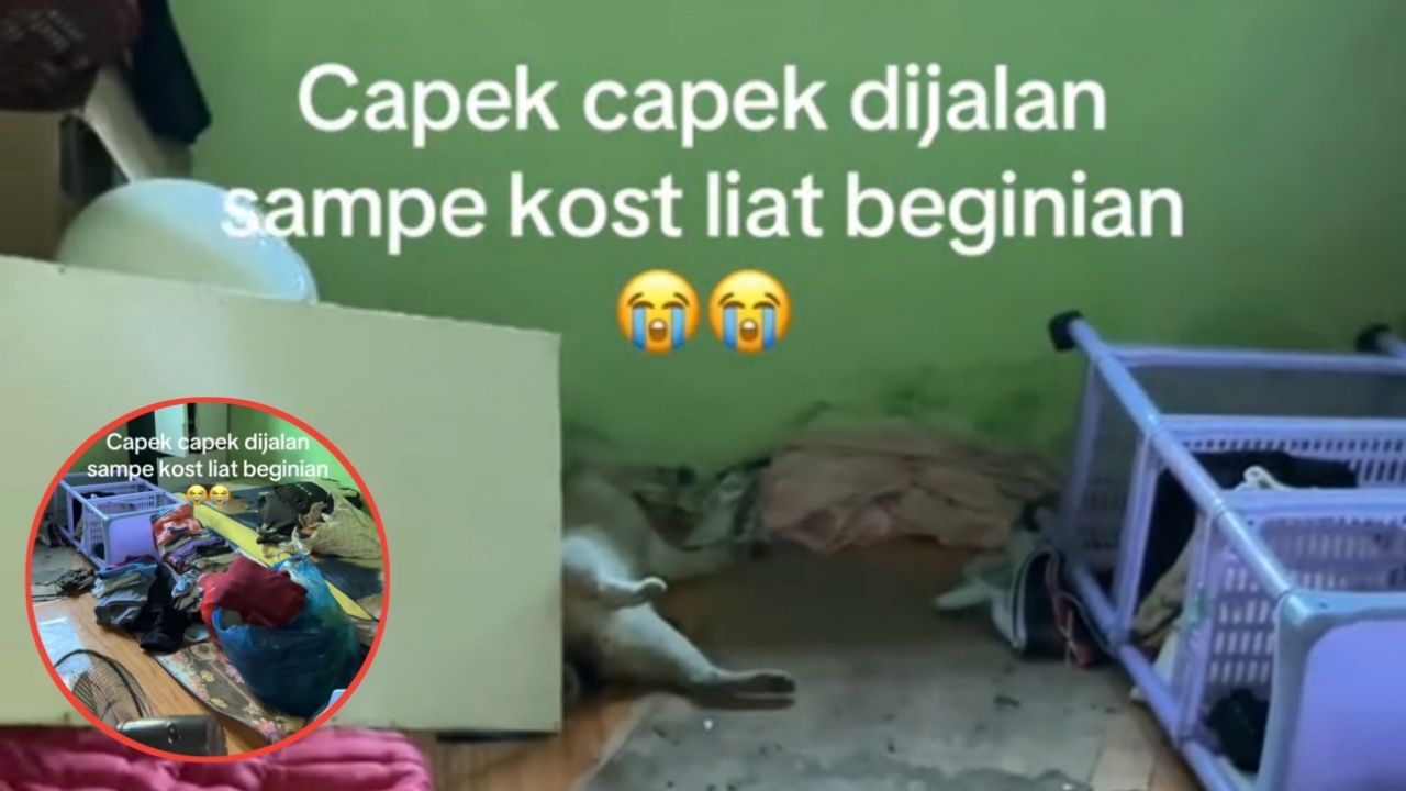 Ditinggal Libur Kuliah, Kamar Kos Cewek Ini Berantakan dan Ditemukan Ada Kucing Mati Ditinggal Libur Kuliah, Kamar Kos Cewek Ini Berantakan dan Ditemukan Ada Kucing Mati