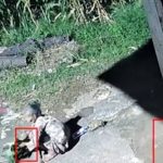 Sudah Diminta Pulang, Namun Nenek Ini Tetap Tidur di Depan Warung Sampai Pagi Hari