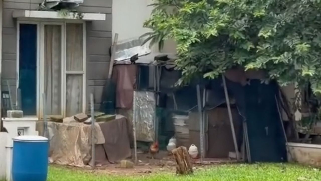 Perumahan Elit Tapi Pelihara Ayam, Cewek Ini Heran Bagaimana Konsepnya dan Bak Kebun Binatang Perumahan Elit Tapi Pelihara Ayam, Cewek Ini Heran Bagaimana Konsepnya dan Bak Kebun Binatang