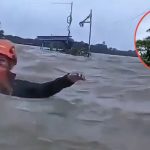 Tanggapi Banjir di Bekasi, Dedi Mulyadi Tegaskan Pemprov Jawa Barat Akan Tertibkan Bantaran Sungai dan Pengembang Nakal Demi Atasi Banjir