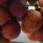 Dikira Beli Leci, Ternyata Ibu Ini Tertipu oleh Pedagang Rambutan