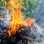 Stop Bakar Sampah Plastik, Bagi Kita Asapnya Terlalu Mencekik