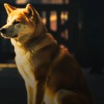 Kisah Kesetiaan Hachiko yang Setiap Sore Selama 10 Tahun Menunggu Tuannya di Shibuya