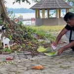 Cowok Ini Road Trip dari Jakarta ke Banda Neira Untuk Kasih Makan Kucing Jalanan, Tuai Pujian Warganet