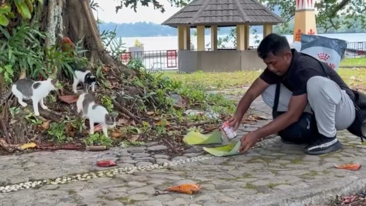 Cowok Ini Road Trip dari Jakarta ke Banda Neira Untuk Kasih Makan Kucing Jalanan, Tuai Pujian Warganet Cowok Ini Road Trip dari Jakarta ke Banda Neira Untuk Kasih Makan Kucing Jalanan, Tuai Pujian Warganet