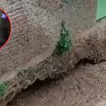 Lantai Rumah Jebol Tembus ke Sungai Cijagra, Wanita di Bandung Hilang Terbawa Arus