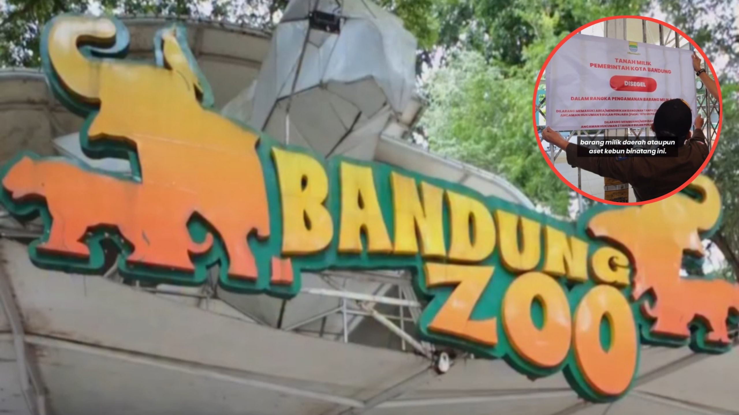 Usai Izin YMT Dicabut oleh Kemenhut, Kini Satpol PP Lakukan Penyegelan Bandung Zoo (Instagram/@humas_bandung)