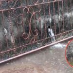 Rumah Sebelah Buat Saluran Air Langsung ke Makam Keluarga, Bapak di Bekasi Ini Langsung Cor Dindingnya