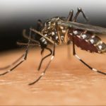 Waspada DBD di Musim Hujan, Yuk Kenali Tandanya dan Cara Cegahnya!