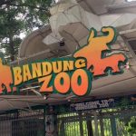 Kemenhut Cabut Izin Konservasi Pengelola Bandung Zoo, Berikut Dampaknya!