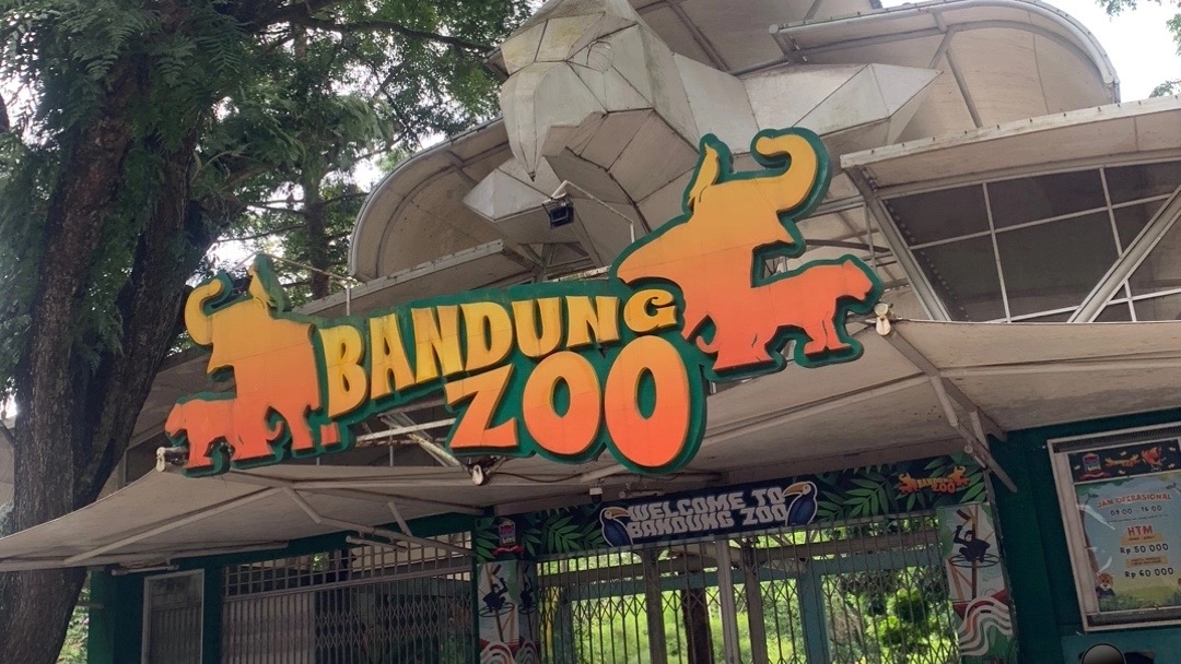 Kemenhut Cabut Izin Konservasi Pengelola Bandung Zoo, Berikut Dampaknya!