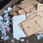 Pulang Kerja Lihat Surat Lamaran Kerja di Tempat Sampah, Cewek Jadi Sorotan Warganet