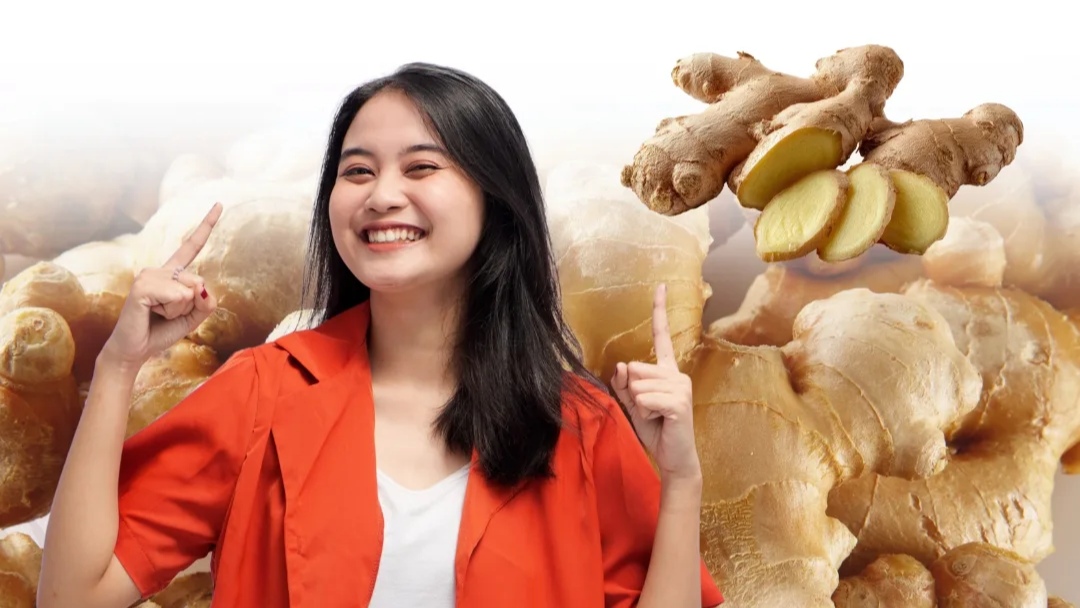 Tidak Hanya Sebagai Penghangat, Jahe Juga Banyak Khasiat di Baliknya Tidak Hanya Sebagai Penghangat, Jahe Juga Banyak Khasiat di Baliknya