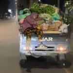 Demi Keluarga di Rumah, Ibu Ini Tunjukkan Perjuangannya yang Berangkat Subuh untuk Bekerja di Pasar