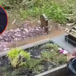 Momen Haru Ayah Datangi Makam Putrinya untuk Melepas Rindu kepada Bidadari Kecilnya