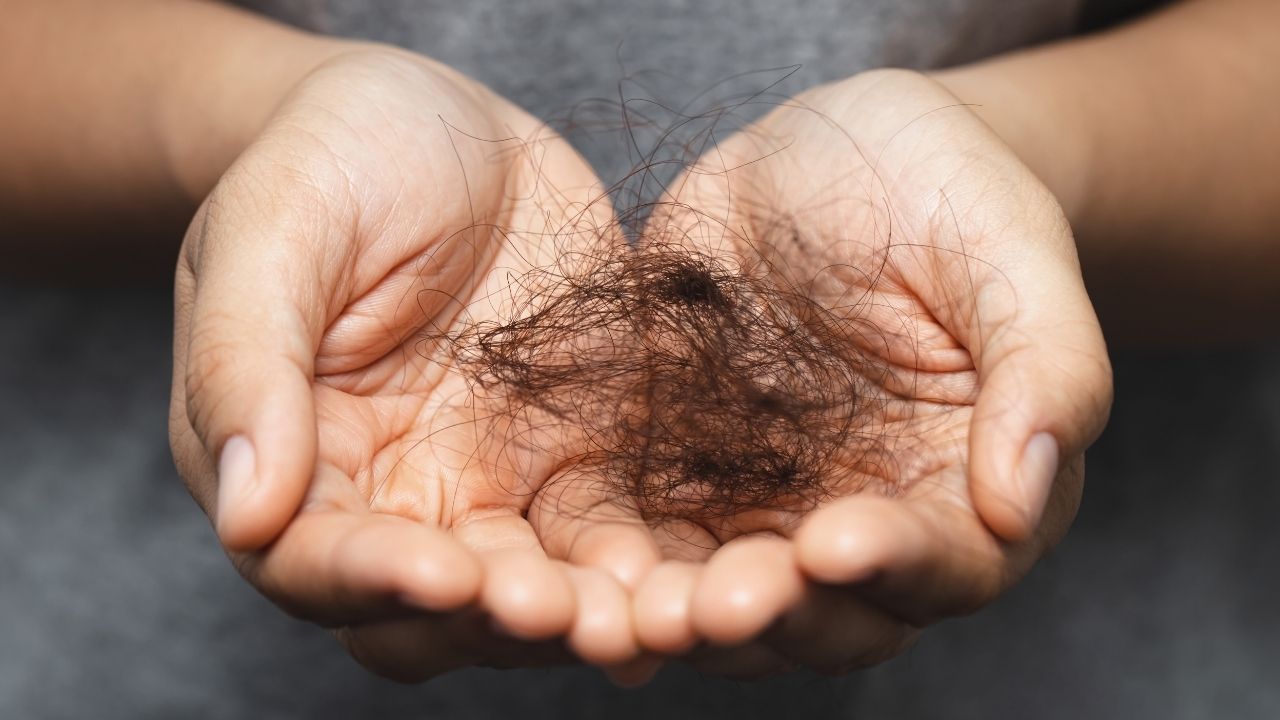 Gen Z Lebih Rentan Alami Rambut Rontok Dibanding Milenial, Berikut Penjelasannya! Gen Z Lebih Rentan Alami Rambut Rontok Dibanding Milenial, Berikut Penjelasannya!