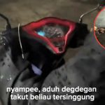 Momen Haru Bapak Driver Ojol Ini Dapat THR dari Customernya, Langsung Diterima dengan Tangan Bergetar