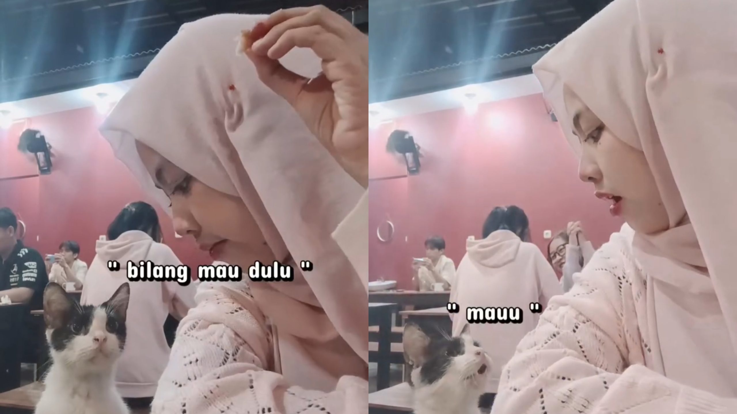 Meski Takut, Cewek Ini Disamperin Kucing dan Minta Makan dengan Cara yang Sopan (Instagram/@shasha.nna)