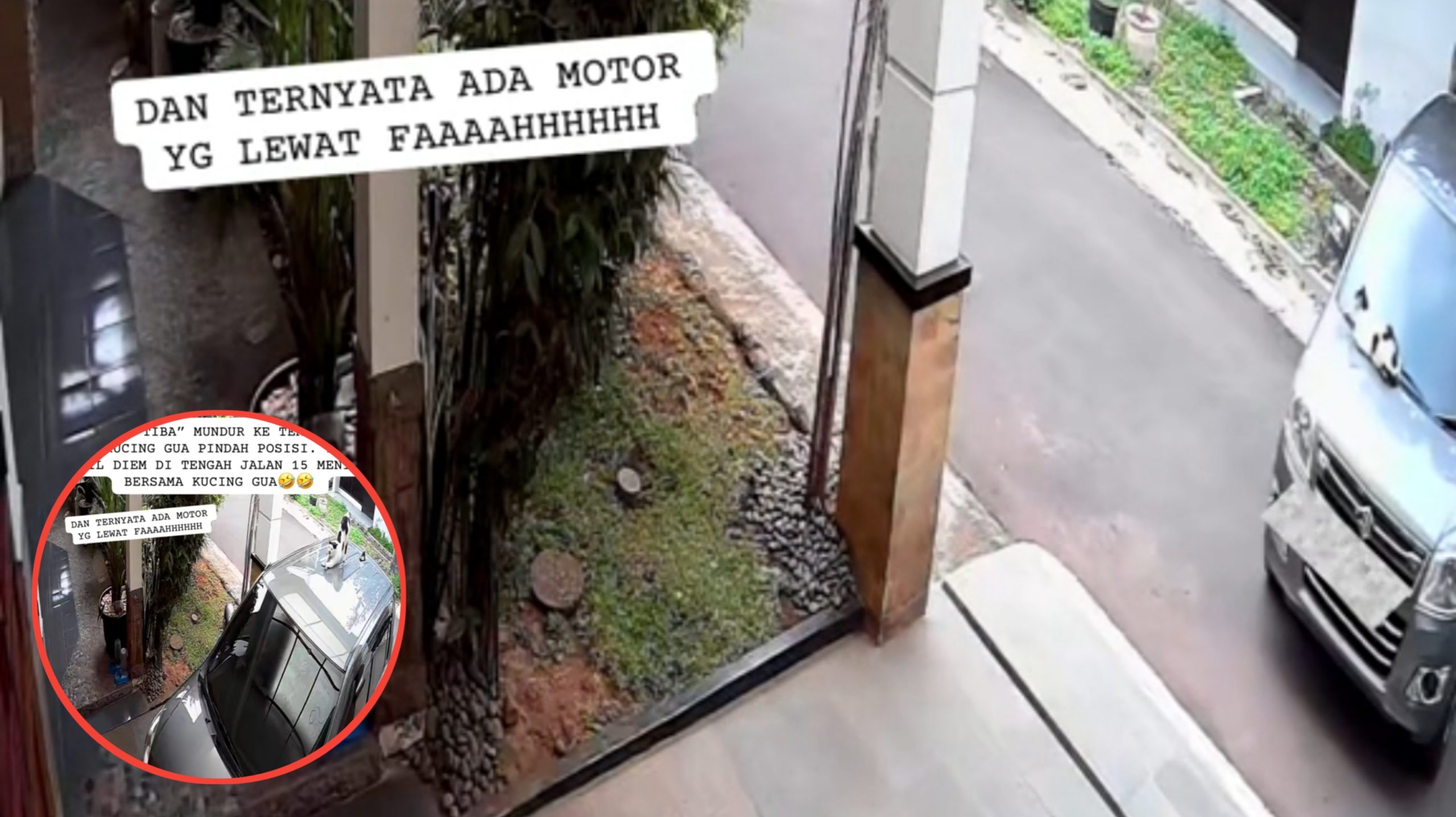 Cewek Ini Kaget Mobilnya Pindah Sendiri dari Parkiran ke Tengah Jalan karena Tingkah Laku Kucingnya (TikTok/@mccmooo)