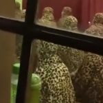 Momen Lucu Cowok Ini Kaget Saat Akan Salat Tarawih di Mushola, Ternyata Ada Banyak Macan Tutul