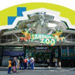 Bandung Zoo Tutup Saat Lebaran, Berikut Alternatif Wisata di Kota Bandung