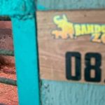 Usai Kematian Dua Anak Harimau, Pemprov Jawa Barat Akan Segera Ambil Alih Bandung Zoo