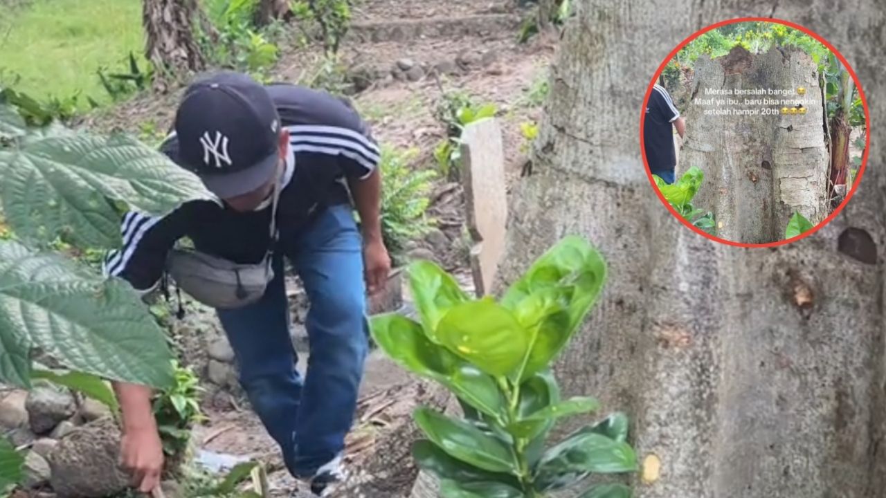 Hampir 20 Tahun Tidak Ziarah, Anak Ini Kaget Lihat Makam Ibunya Tertutup oleh Pohon Besar Hampir 20 Tahun Tidak Ziarah, Anak Ini Kaget Lihat Makam Ibunya Tertutup oleh Pohon Besar