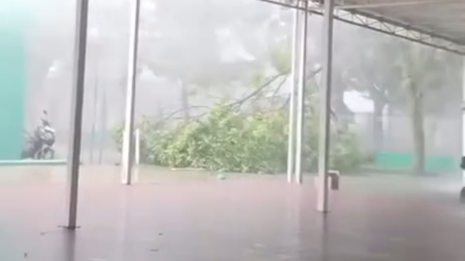 Hujan Deras dan Angin Kencang Landa Bandung, Terjadi Pohon Tumbang di Beberapa Tempat Hujan Deras dan Angin Kencang Landa Bandung, Terjadi Pohon Tumbang di Beberapa Tempat