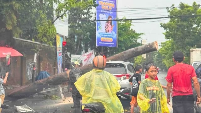 33 Pohon Tumbang dalam Sehari di Bandung Akibat Cuaca Ekstrem, Satu Korban Jiwa Meninggal Dunia 33 Pohon Tumbang dalam Sehari di Bandung Akibat Cuaca Ekstrem, Satu Korban Jiwa Meninggal Dunia
