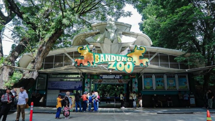 Bandung Zoo Siap Bertransformasi, Pemkot Bandung Gelar Market Sounding Bandung Zoo Siap Bertransformasi, Pemkot Bandung Gelar Market Sounding