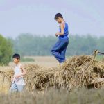 6 Film yang Buktikan Jadi Petani Tidak Seindah Ekspektasi