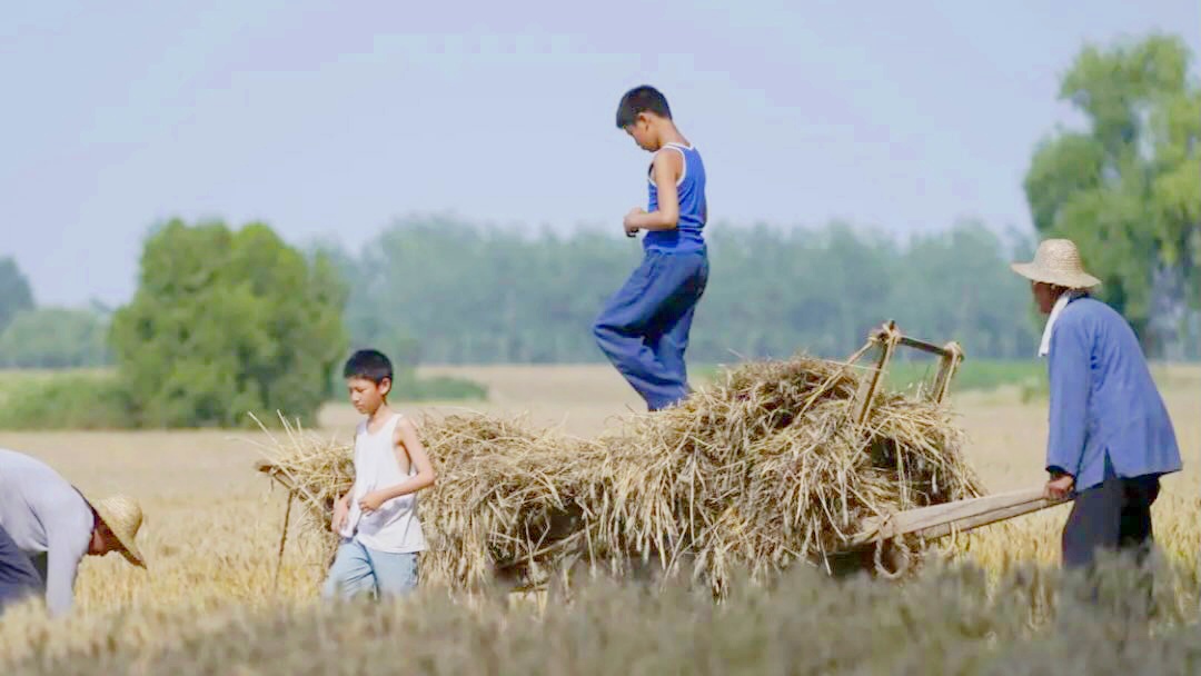 6 Film yang Buktikan Jadi Petani Tidak Seindah Ekspektasi 6 Film yang Buktikan Jadi Petani Tidak Seindah Ekspektasi