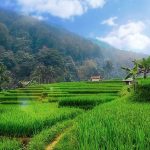 Selamat Hari Bumi Internasional, Yuk Kenalan dengan Konsep Trilogi Leuweung!