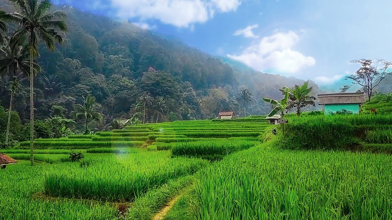 Selamat Hari Bumi Internasional, Yuk Kenalan dengan Konsep Trilogi Leuweung! Selamat Hari Bumi Internasional, Yuk Kenalan dengan Konsep Trilogi Leuweung!