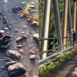 Sempat Berdiri Lama di Atas Jembatan dan Bikin Cemas, Pria ini Ternyata Lakukan Hal yang Tidak Terduga