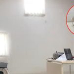 Dosen dan Para Mahasiswa Ini Punya Rutinitas Unik Setiap Selesai Perkuliahan