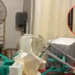 Sapi Kurban Mengamuk H-1 Lebaran, Tenda Akad Nikah di Banyumas Ini Jadi Sasaran