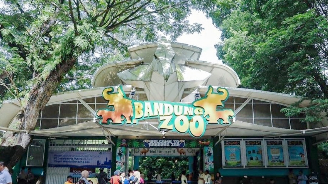 Kemenhut dan Pemkot Bandung Sepakat Perpanjang MoU Perawatan Bandung Zoo Kemenhut dan Pemkot Bandung Sepakat Perpanjang MoU Perawatan Bandung Zoo