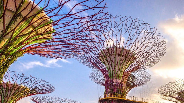 7 Daftar Tempat Wisata Terbaik untuk Solo Traveler Tahun 2026 7 Daftar Tempat Wisata Terbaik untuk Solo Traveler Tahun 2026