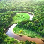 3 Alasan Mengapa Teknologi Belum Mampu Bangun Jembatan di Atas Sungai Amazon