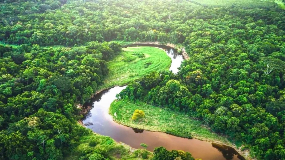 3 Alasan Mengapa Teknologi Belum Mampu Bangun Jembatan di Atas Sungai Amazon 3 Alasan Mengapa Teknologi Belum Mampu Bangun Jembatan di Atas Sungai Amazon