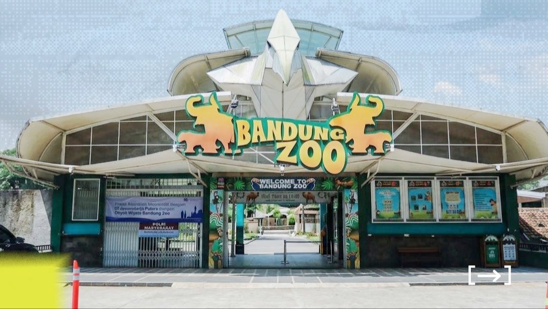 Kedua Tender KSP Bandung Zoo Resmi Dimulai, Berikut Jadwal Tender dan Lokasinya! Kedua Tender KSP Bandung Zoo Resmi Dimulai, Berikut Jadwal Tender dan Lokasinya!