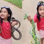 Bikin Terkejut! Anak Kecil Perempuan ini Sangat Gembira Setelah Berhasil Menangkap Banyak Ular