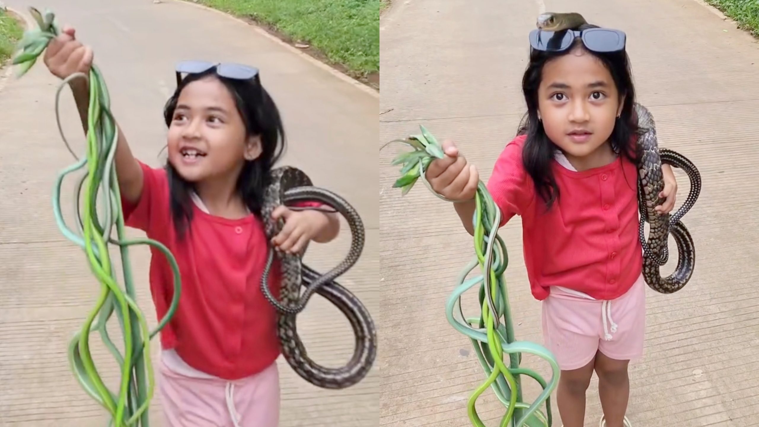 Bikin Terkejut! Anak Kecil Perempuan ini Sangat Gembira Setelah Berhasil Menangkap Banyak Ular (Instagram/@jepi_kartiwa_ngabret)