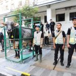 184 Petugas di Kota Bandung Dikerahkan, Pastikan Hewan Kurban Sehat hingga Hari Tasyrik